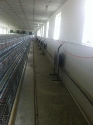 風(fēng)機(jī)安裝現(xiàn)場(chǎng)