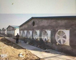 風(fēng)機(jī)安裝現(xiàn)場(chǎng)