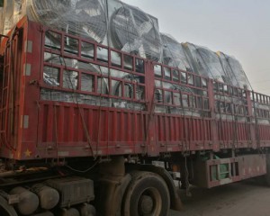 發(fā)貨現(xiàn)場(chǎng)